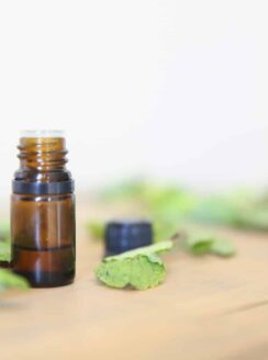 peppermint essential oil