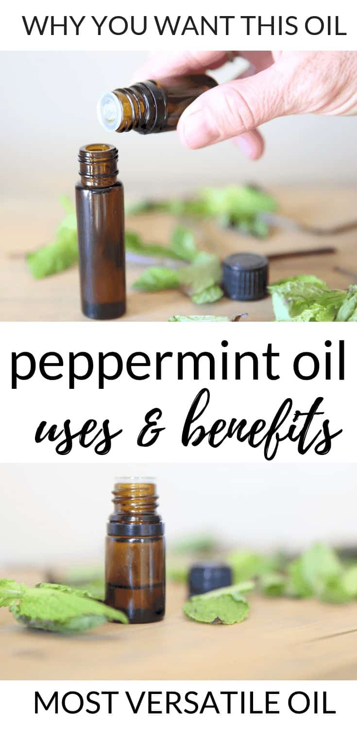 Peppermint essential oil uses and benefits. Learn why this oil is the most versatile and why you need it in your life.