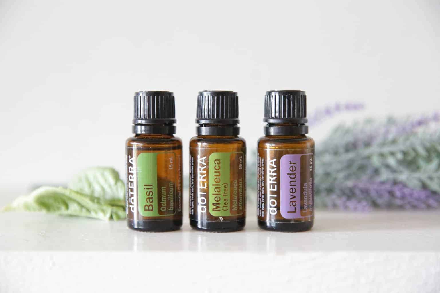 doterra essential oils for earache relief with lavender sprigs and basil on white table top