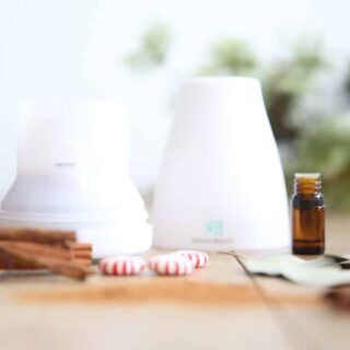 Christmas essential oil blend in white diffusers with cinnamon sticks and round mints.