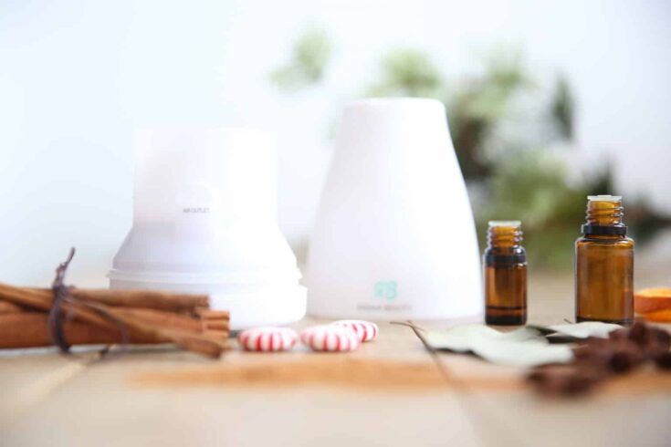 Christmas essential oil blend in white diffusers with cinnamon sticks and round mints.