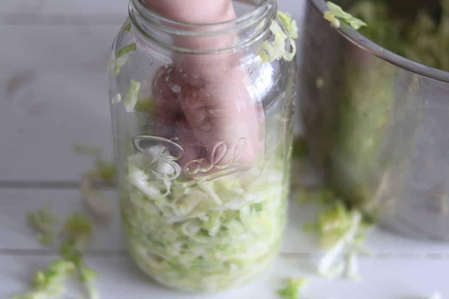 Hand punching cabbage into mason jar.