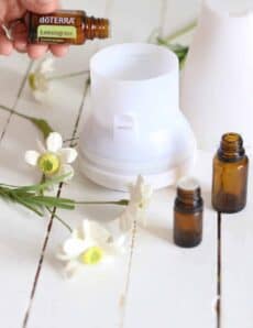 Adding lemongrass essential oil to a white petal diffuser.