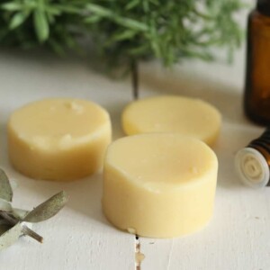 beeswax lotion bars
