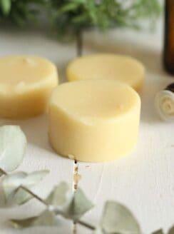 lotion bars