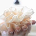 body wash on loofa