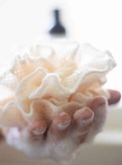 body wash on loofa