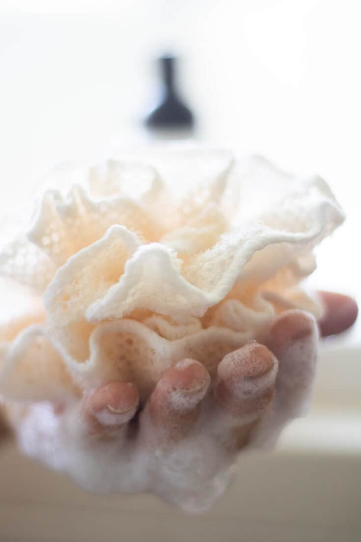 body wash on loofa