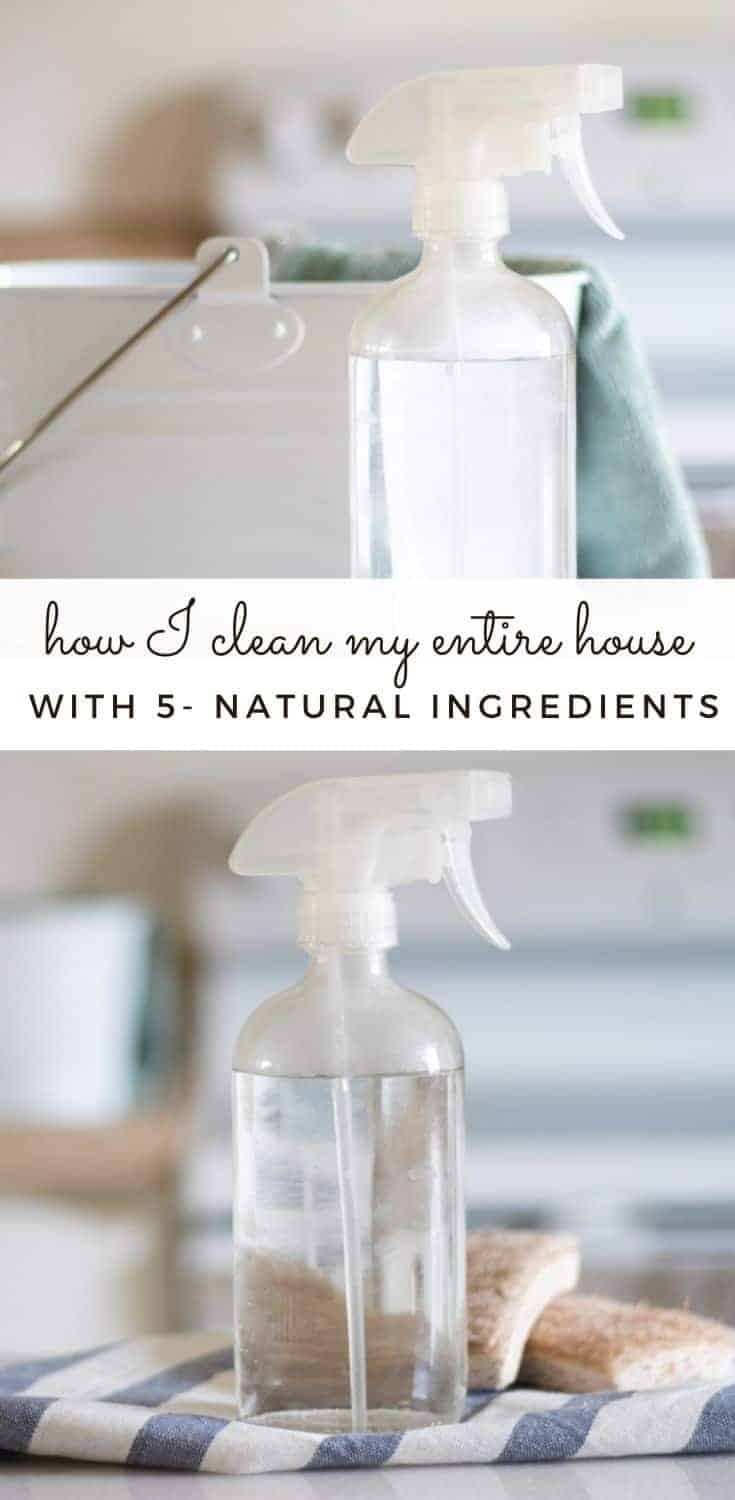 DIY Anti-Mold Spray - Our Oily House