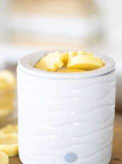 beeswax wax melt in white candle warmer