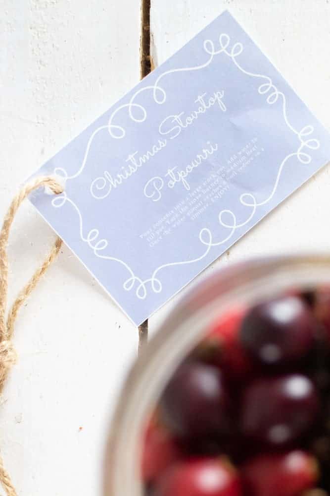 Blue gift tag with twine on white shiplap.