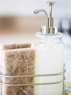 tan dish sponge and soap in wire basket