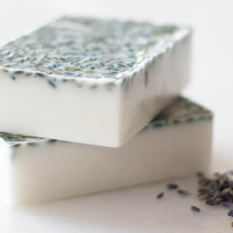 Lemon Chia Shea Butter Soap Bars - A Quaint Life