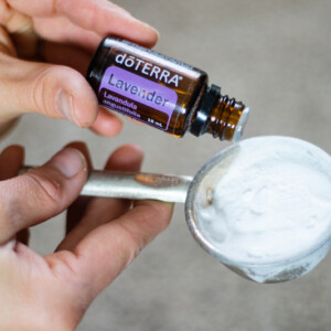 Adding lavender to homemade carpet stain remover.
