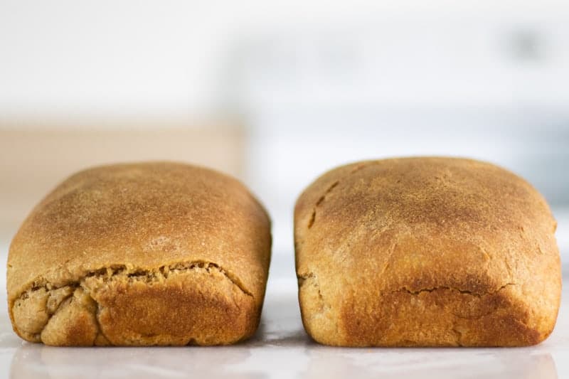 einkorn wheat sourdough bread