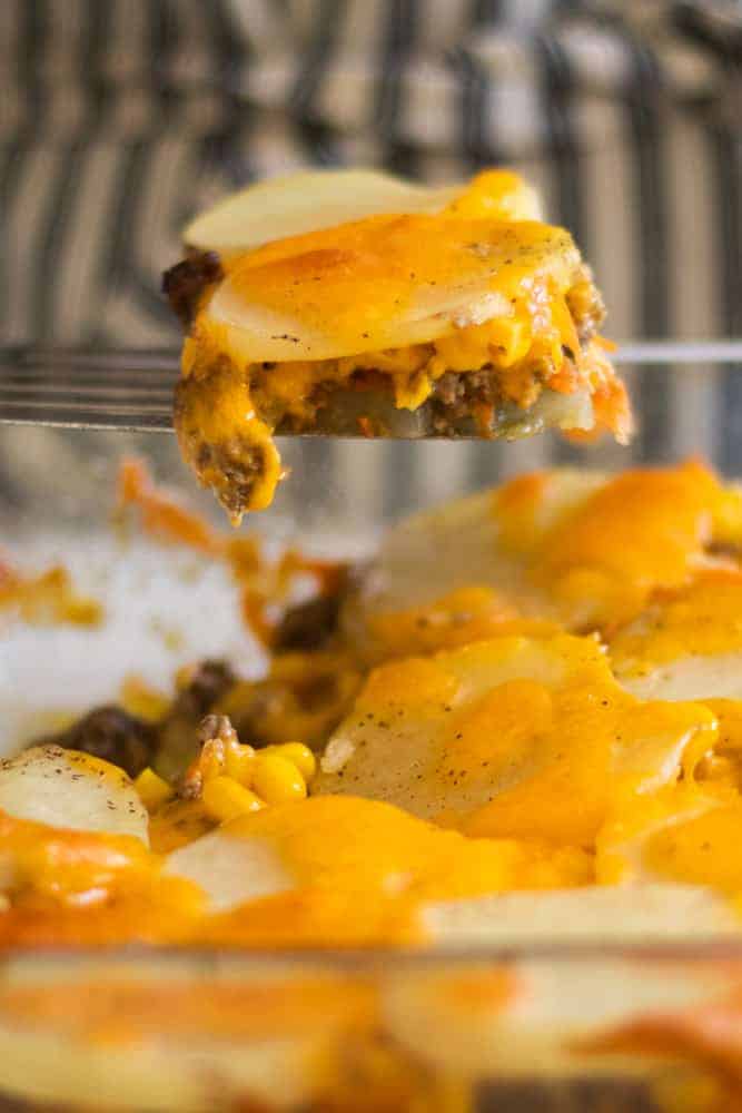 potato and beef casserole being served