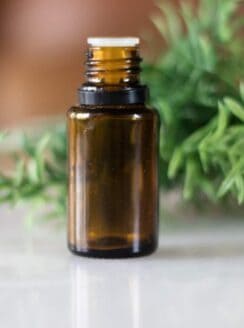 tea tree essential oil bottle with greenery in background