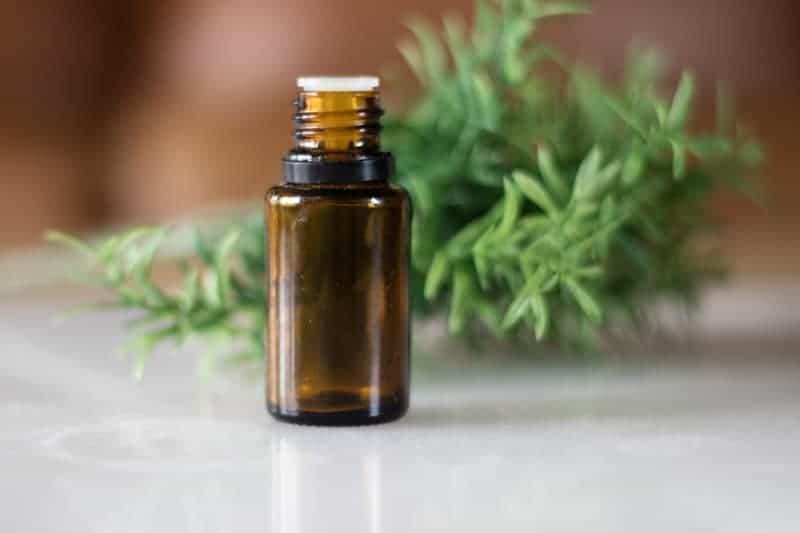 amber colored essential oil roller bottle in front of green leaves