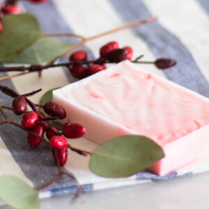 Red Christmas soap bar with eucalyptus and cranberries.