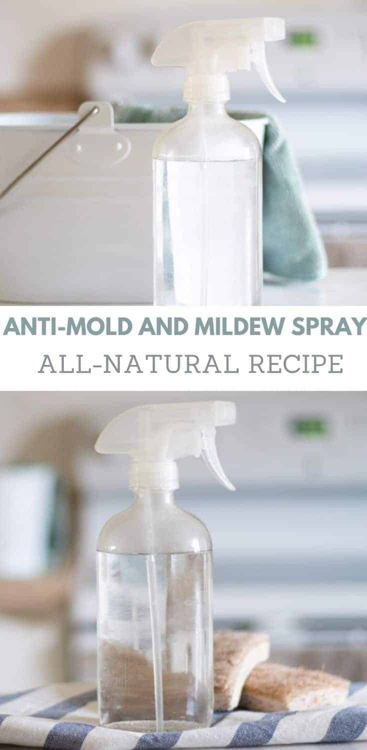 The 5 Best Mold Removers of 2024