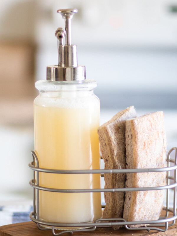 Tan dish sponge and soap in wire basket.