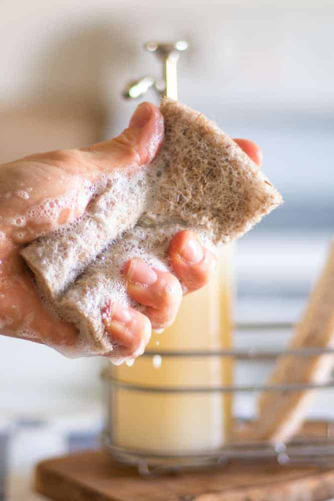 sudsing up dish soap in in a sponge