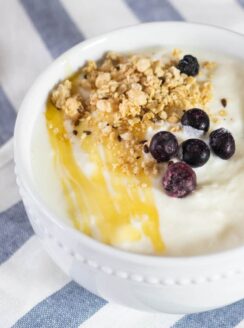 homemade instant pot yogurt.