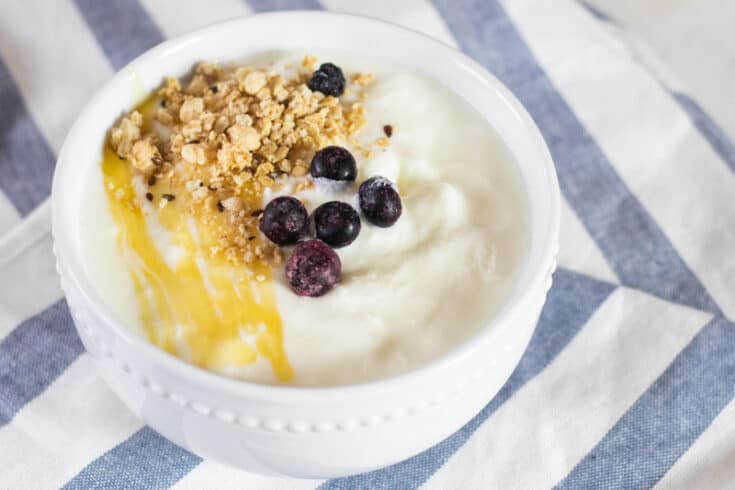 instant pot yogurt with berries and granola