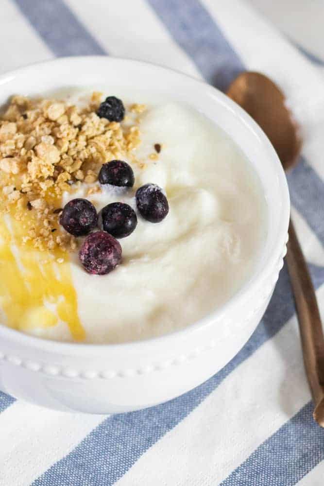 Homemade yogurt parfait with blueberries.