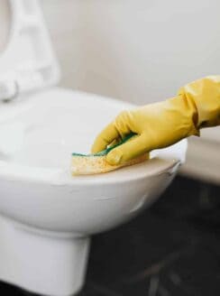 Homemade toilet cleaner being scrubbed out of on a toilet.