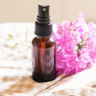 DIY Bathroom Air Freshener - Our Oily House