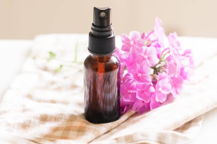 DIY Bathroom Air Freshener 