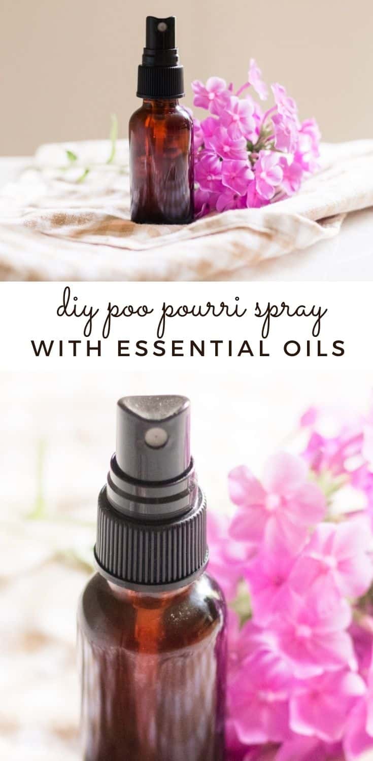 DIY Bathroom Air Freshener Our Oily House