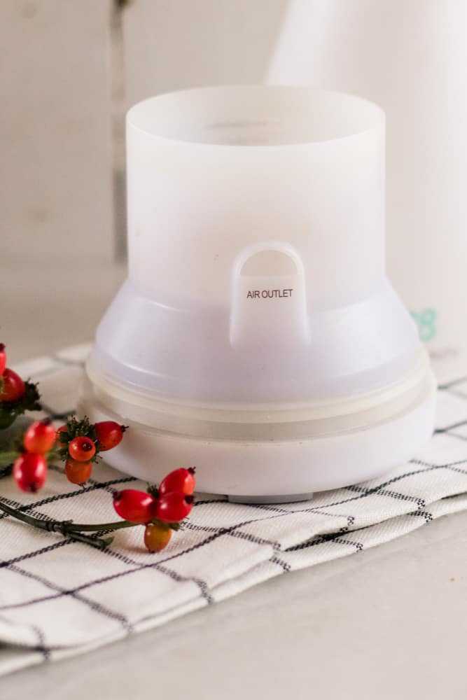 A white diffuser with winter red berries by it.