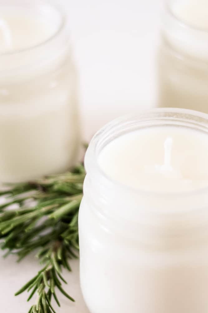 Soy wax candles with rosemary sprig.
