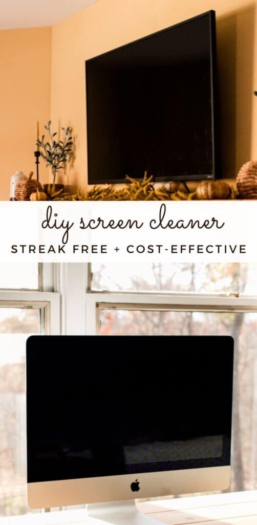 DIY Computer and TV Screen Cleaner • The Prairie Homestead