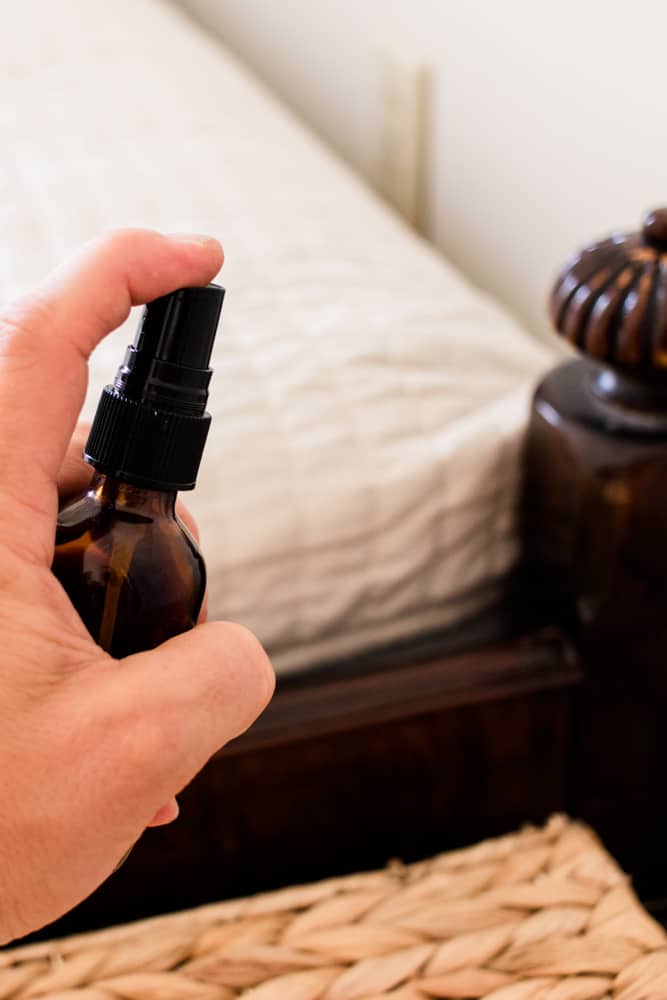 Spraying the corners of the mattress and bed with bed bug spray.