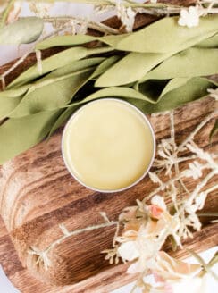 Lemon balm salve in a small tin with fresh lemon balm leaves around it.