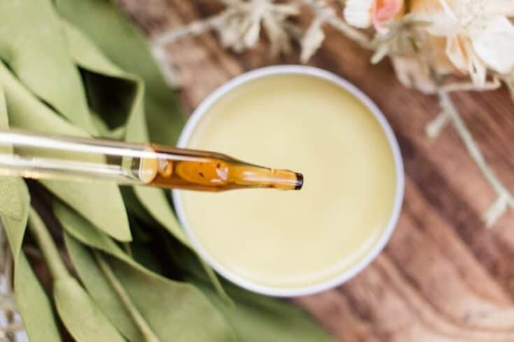 Homemade lemon balm salve in a small metal tin.