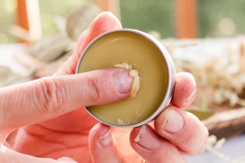 Lemon balm salve in a metal tin being used on the fingers.