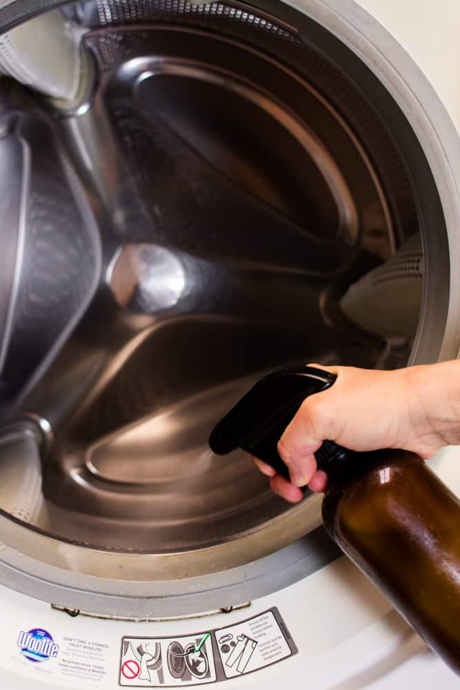 Spraying a washer drum with washing machine cleaner.