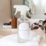 Homemade streak free vinegar window cleaner.