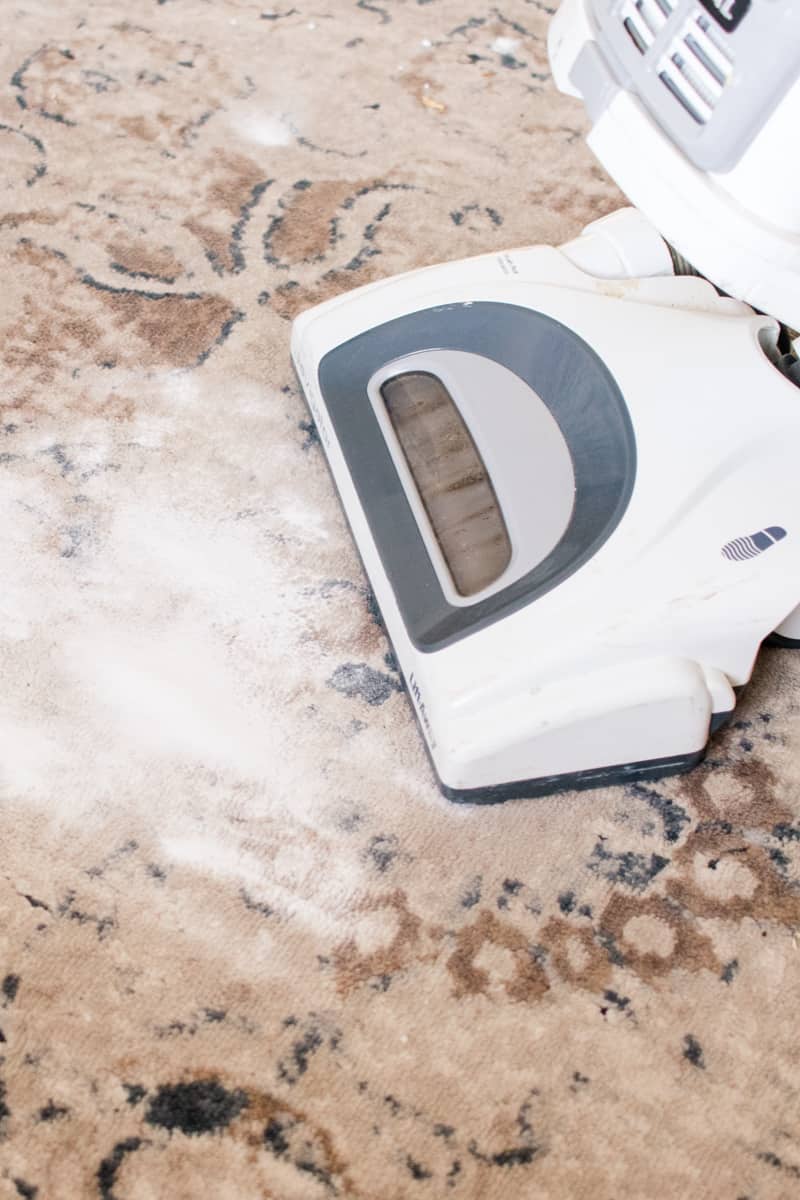 how to get cat pee out of carpet naturally