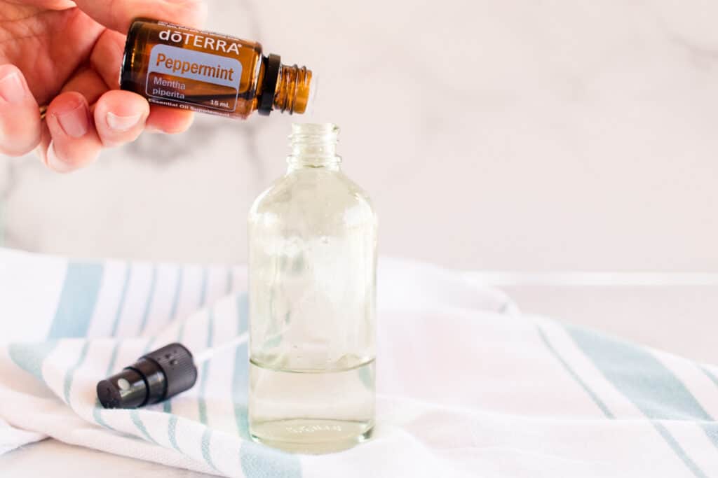 Essential Oils to Get Rid of Mice - Our Oily House