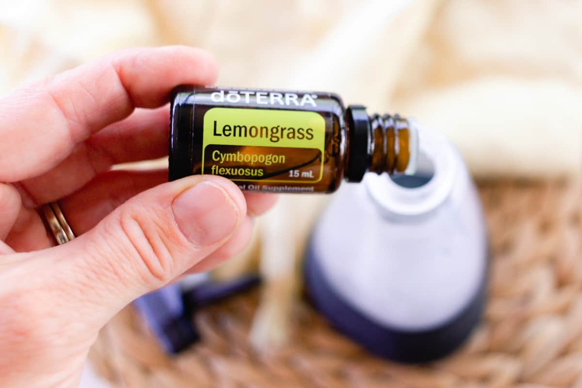 Adding lemongrass essential oil to homemade wasp spray. 
