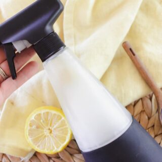 A at home wasp spray with lemon slices and a teaspoon of lemon juice.
