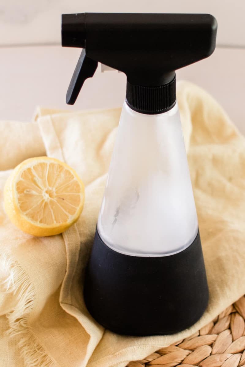 How to Keep Wasps Away For Good Our Oily House