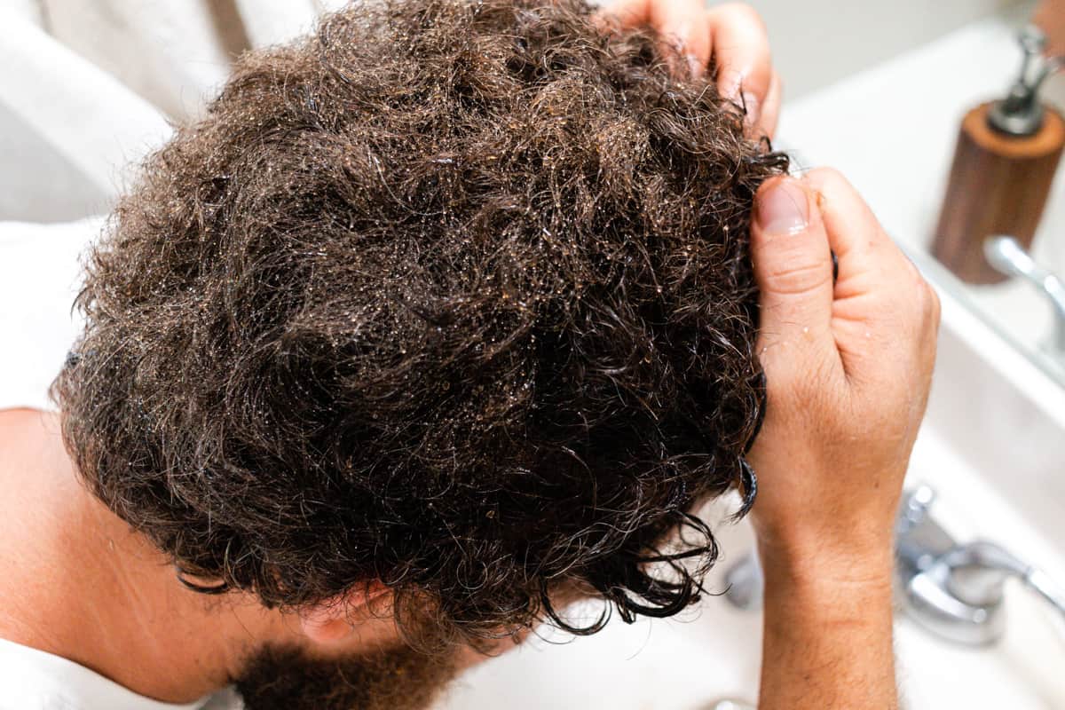 Working the black tea into the gray strands of hair.