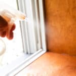 Spraying the mold on a window sill with vinegar.