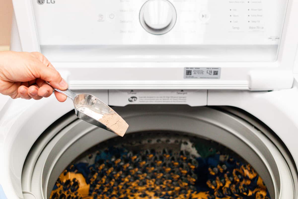 A serving scoop of soap nuts for laundry going into a new washing machine.